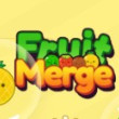 Fruit Merge: Match Game image